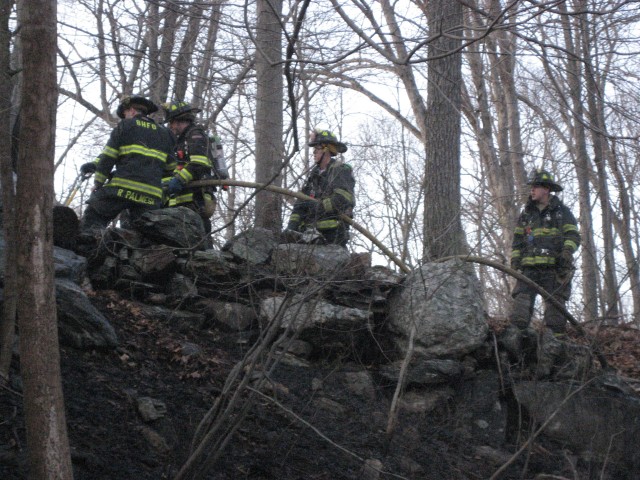 Car fire Haines road With extension into the woods